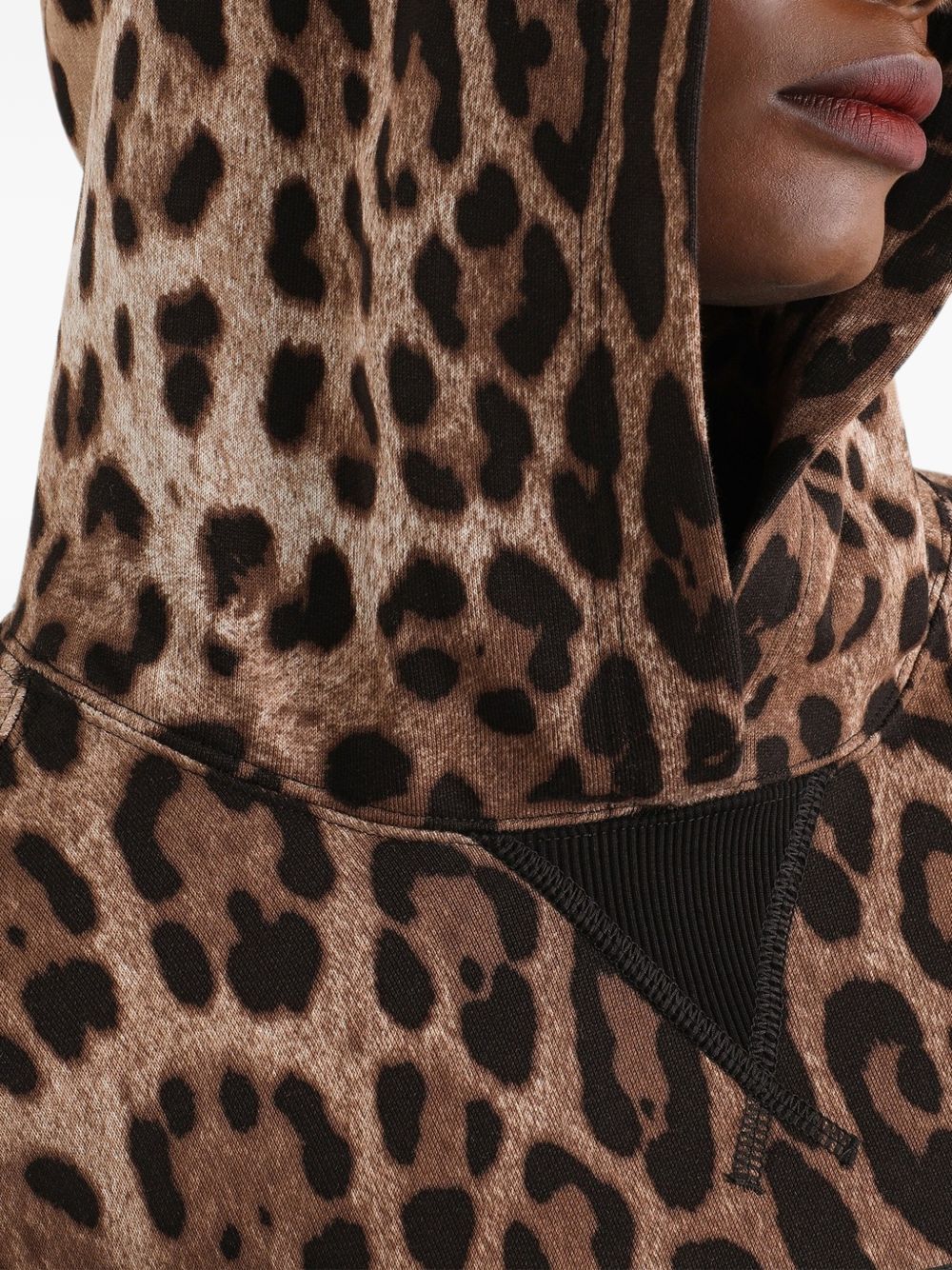 DOLCE e GABBANA Felpa con cappuccio in cotone con stampa animalier marrone