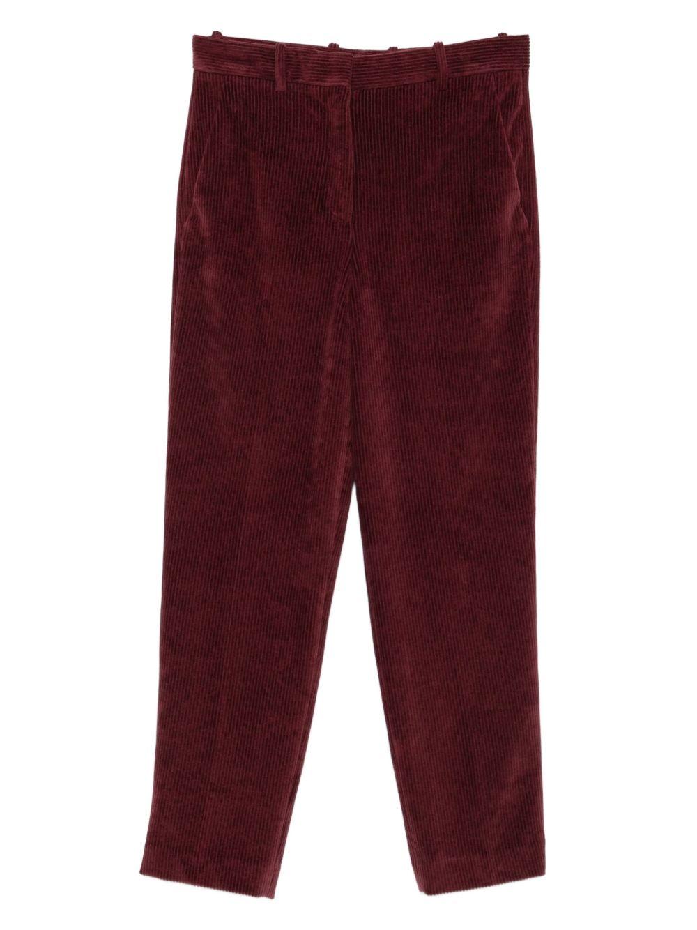 CIRCOLO 1901 Pantaloni in velluto a coste color bordeaux
