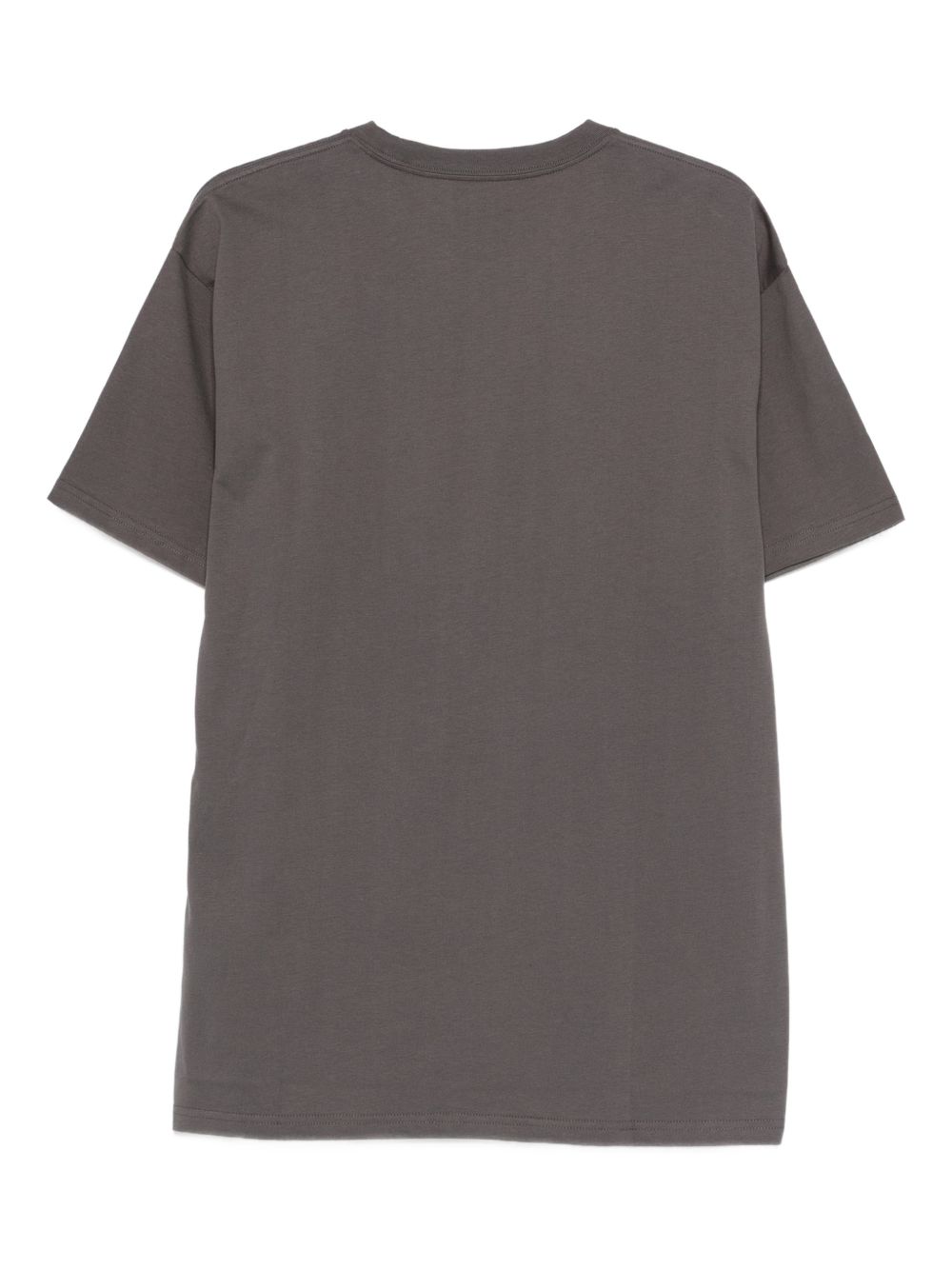 CARHARTT WIP T-shirt in cotone grigio 