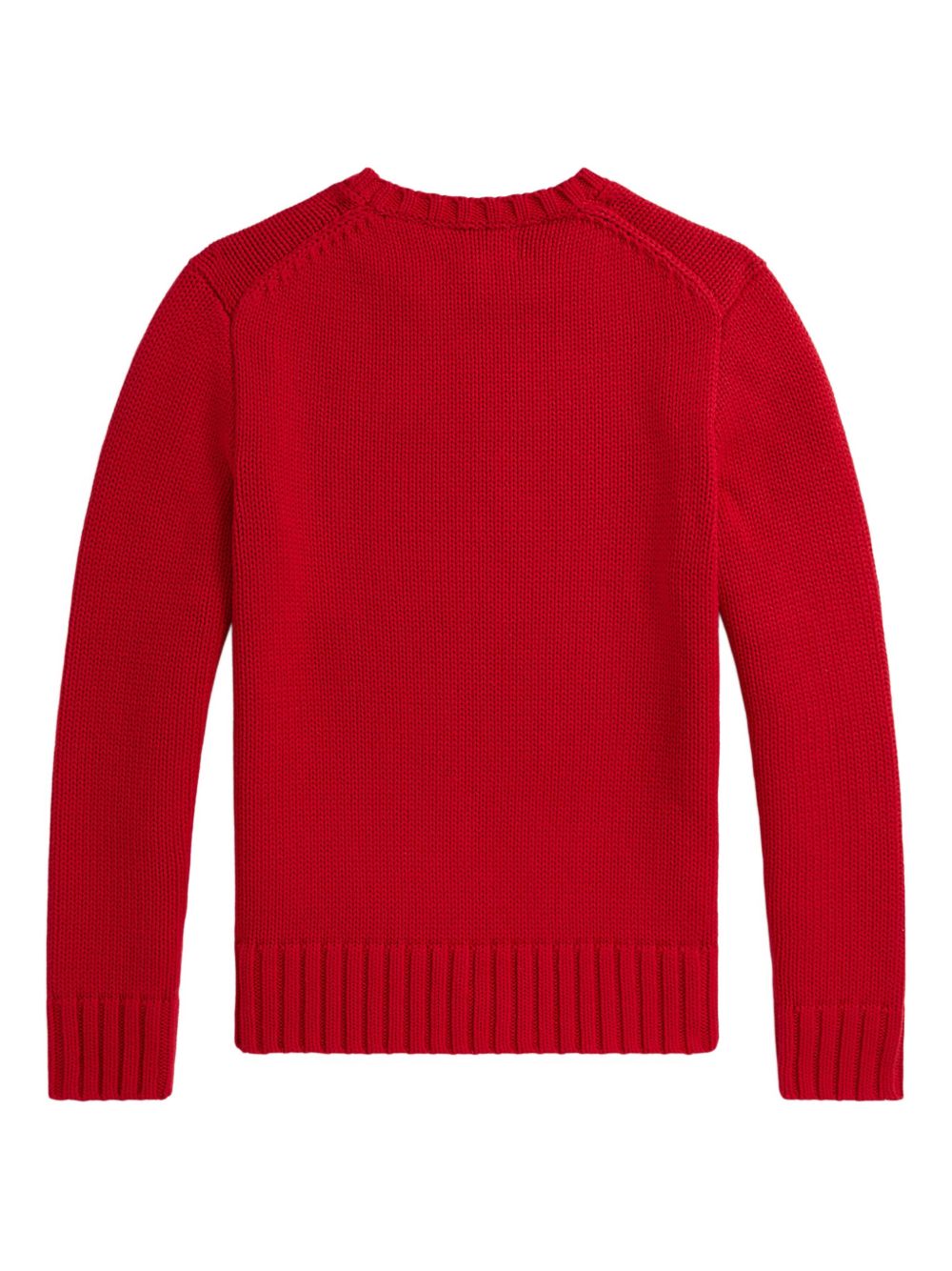 POLO RALPH LAUREN Maglia in cotone con bandiera 