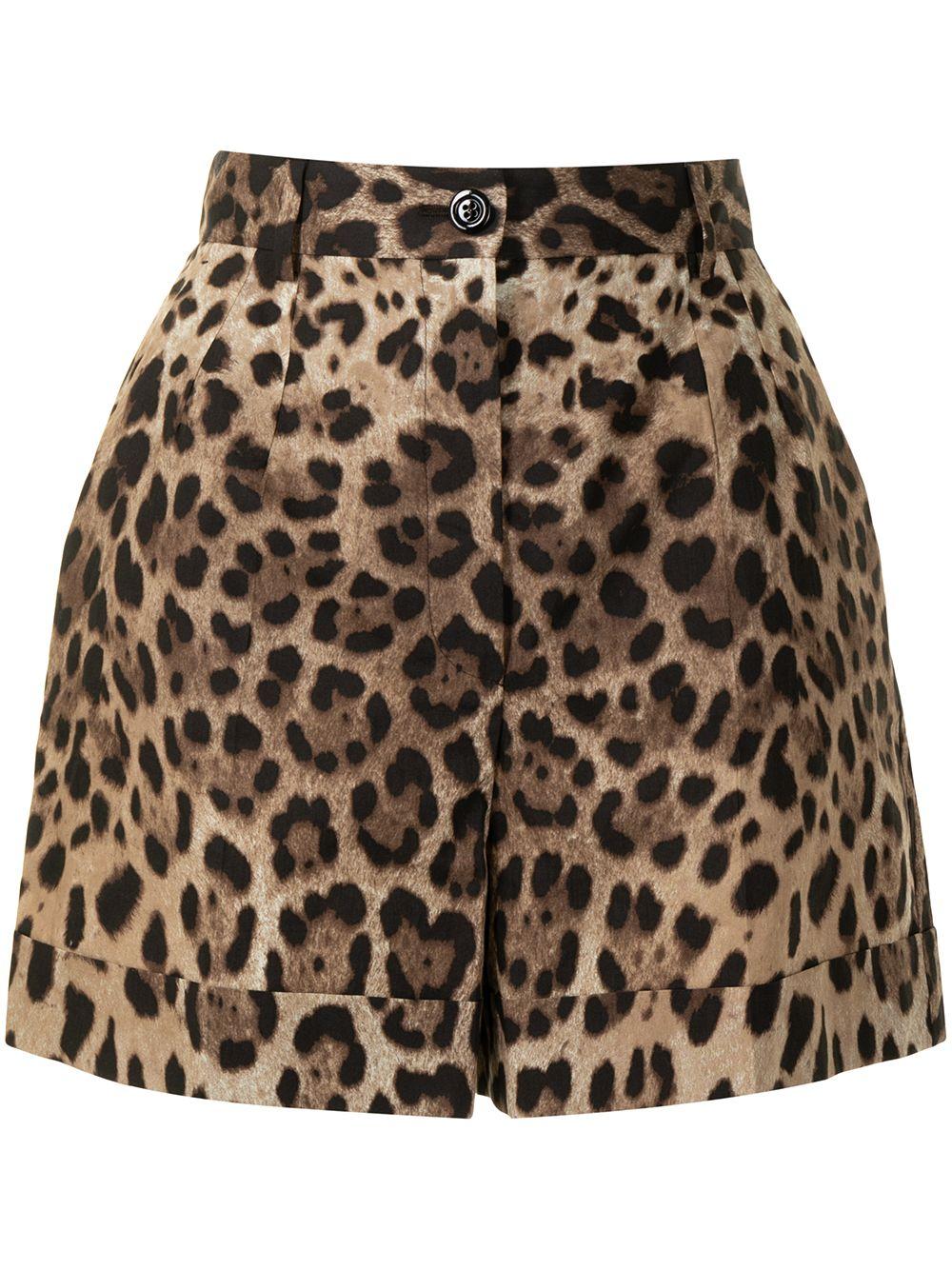 DOLCE e GABBANA Shorts in cotone leopardati 