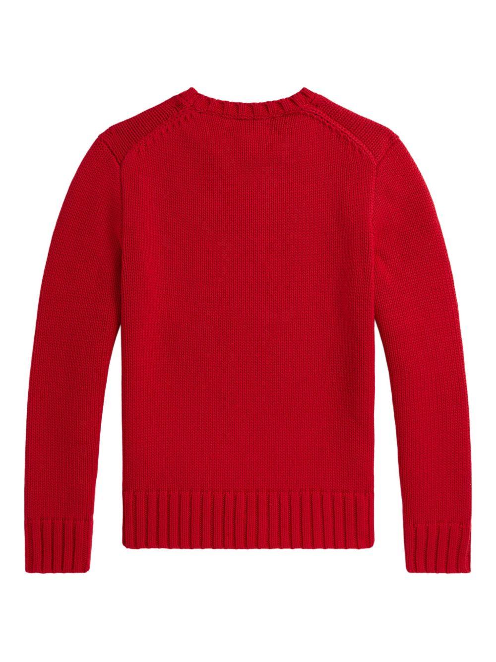 POLO RALPH LAUREN Maglia in cotone con bandiera 